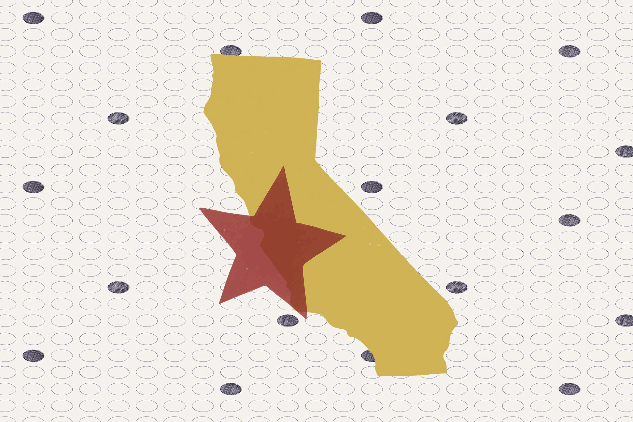 The San Francisco Chronicle Editorial Board’s endorsements for the California and S.F. Bay